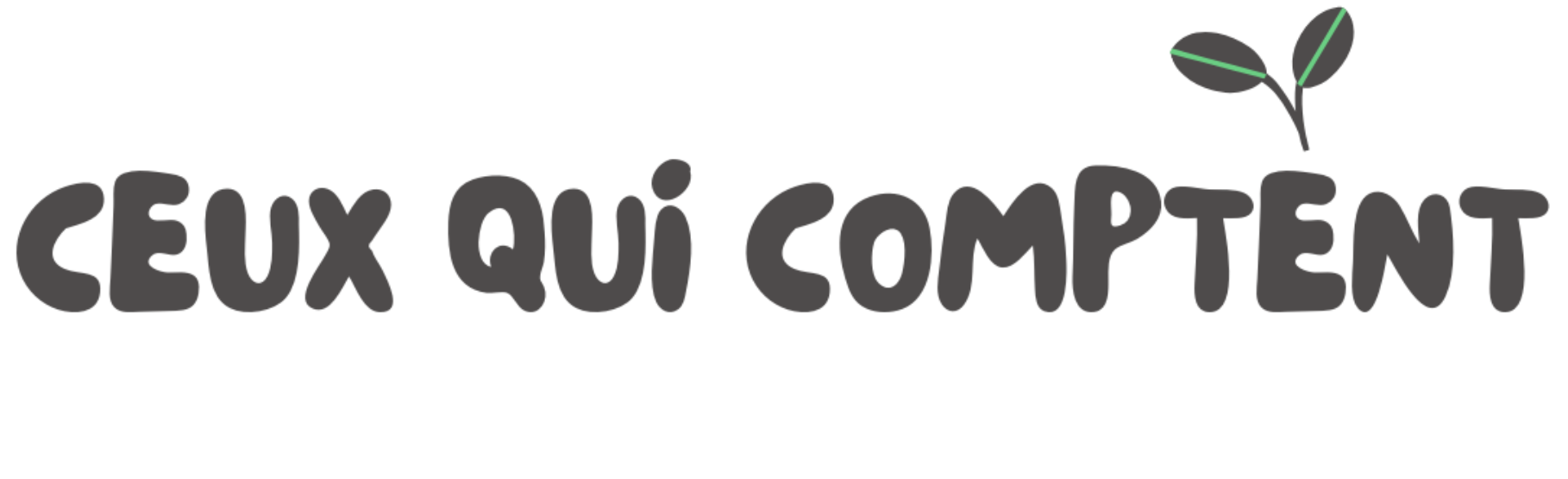 Logo RAIJHASE
